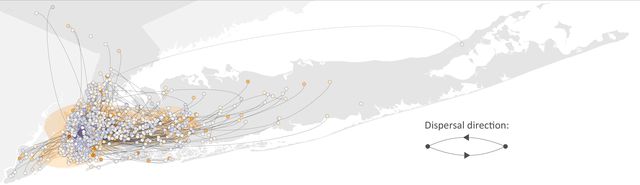 Points and lines on map show how COVID-19 infections traveled across New York City and Long Island in the spring of 2020.